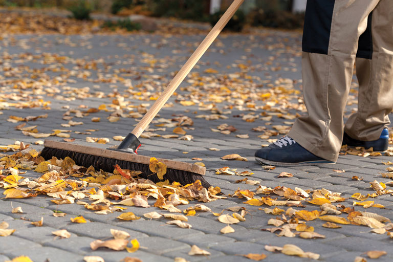 Gathering Leaves for Composting