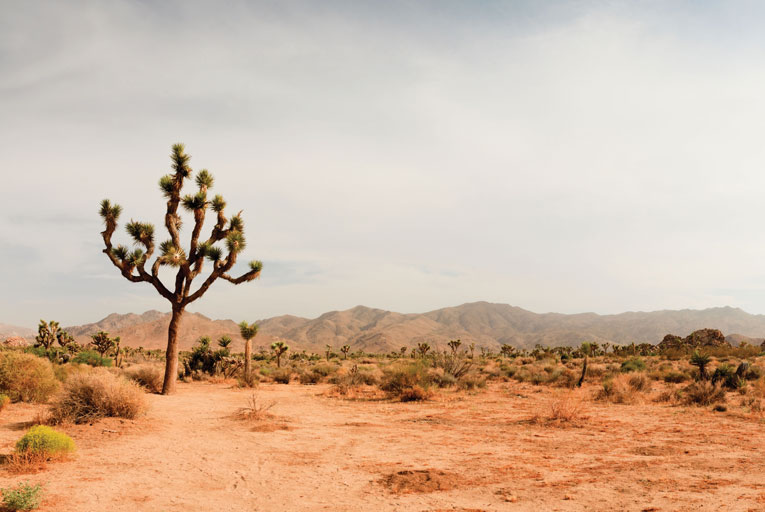 Water Scarcity During Drought